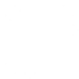 Vector