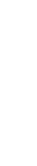 Vector